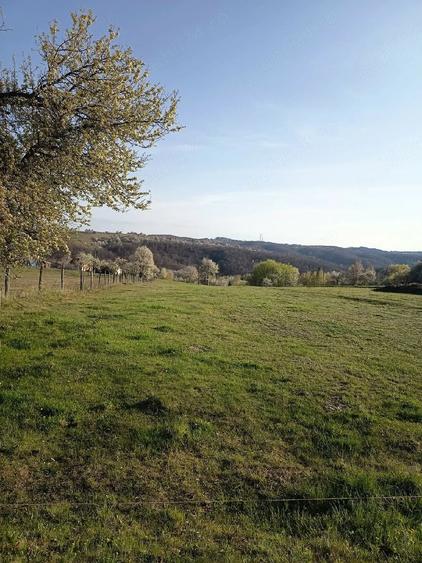 Teren de 9440 mp, în Huta
