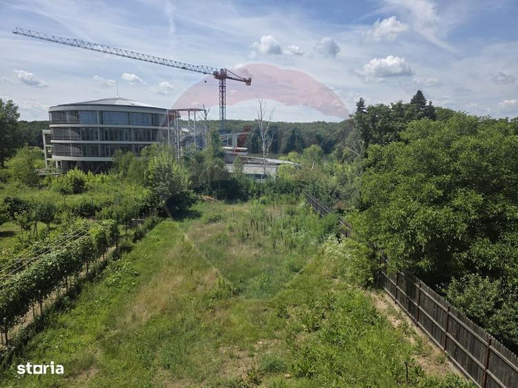 Vila vedere lac teren 1562 mp + casa secundara veche Snagov - 7