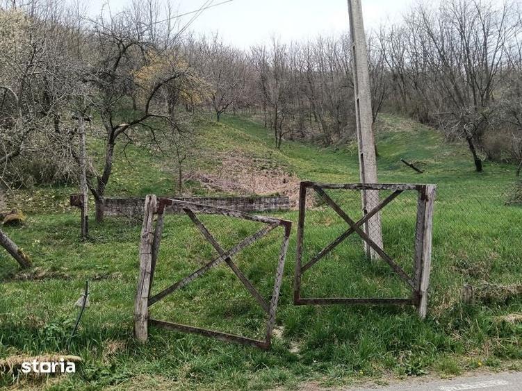 Teren Vetel (valea caoiului)3573 mp - 6