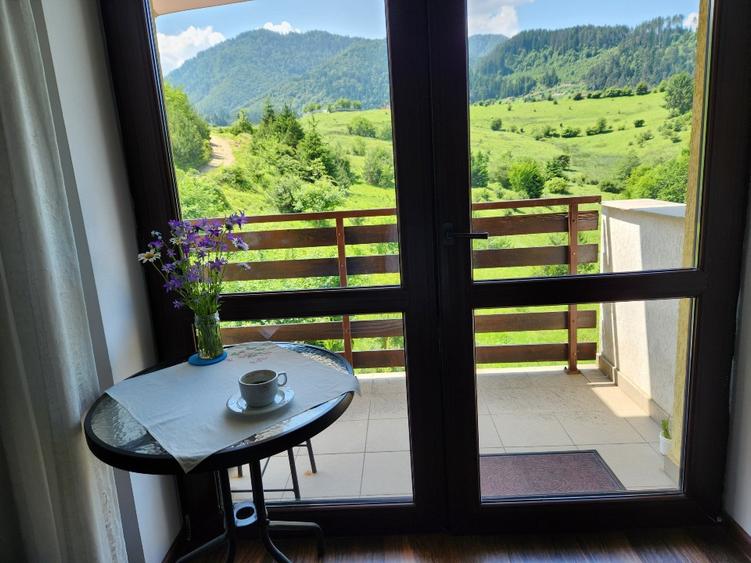 Apartament cu 2 camere semidecomandat în Babarunca