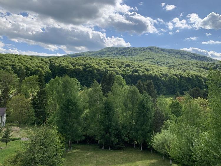 Hotel/Pensiune, de 12 mp, în Dobârlău