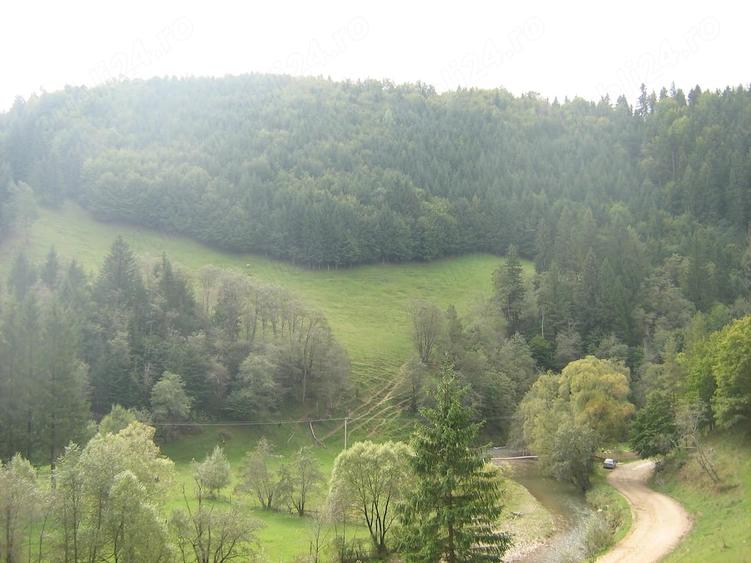 Teren de 13816 mp, în Vama Buzăului
