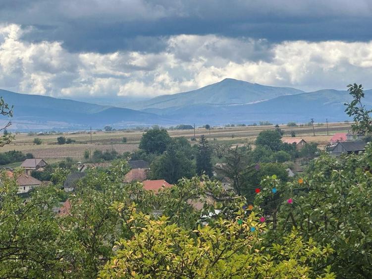 Casă individuală cu 2 camere cu Teren 2876 Mp în Dalnic
