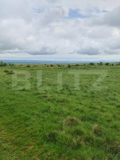 Teren Construcții intravilan de 7400 mp, în Berivoi