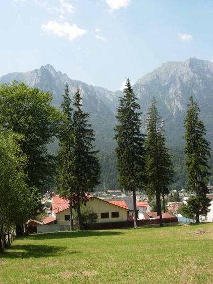 Teren intravilan de 3872 mp, în Zamora