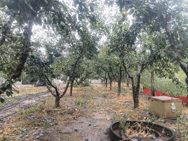 Teren de 1000 mp, în Gheorghe Lazăr