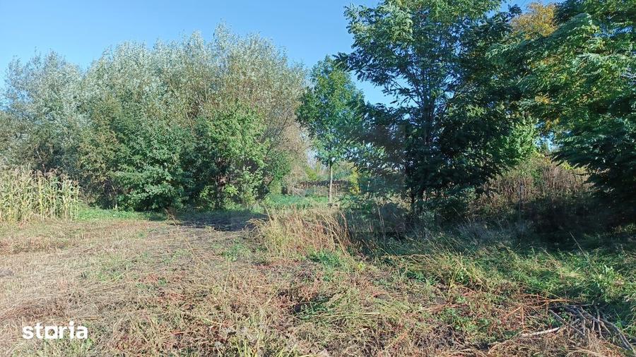 Teren de 3400 mp, în Horodnic