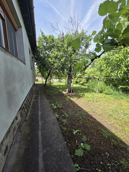 Casă cu 3 camere în Central