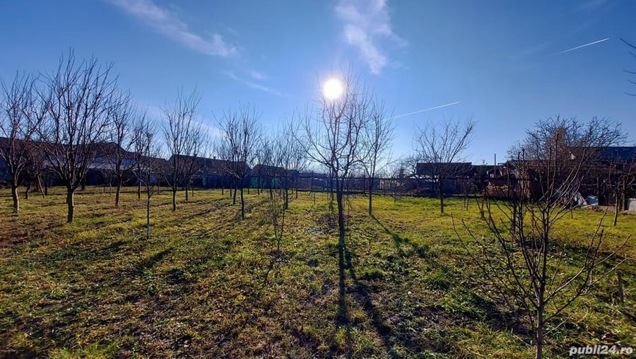 Casă cu 6 camere cu Teren 2984 Mp în Chișineu-Criș