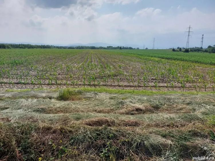 Teren de 3600 mp, în Central