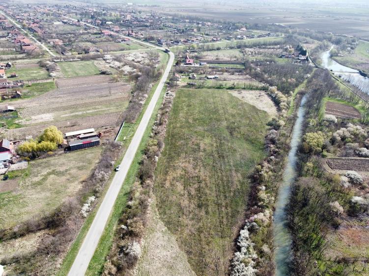 Teren agricol intravilan de 22500 mp, în Balinț
