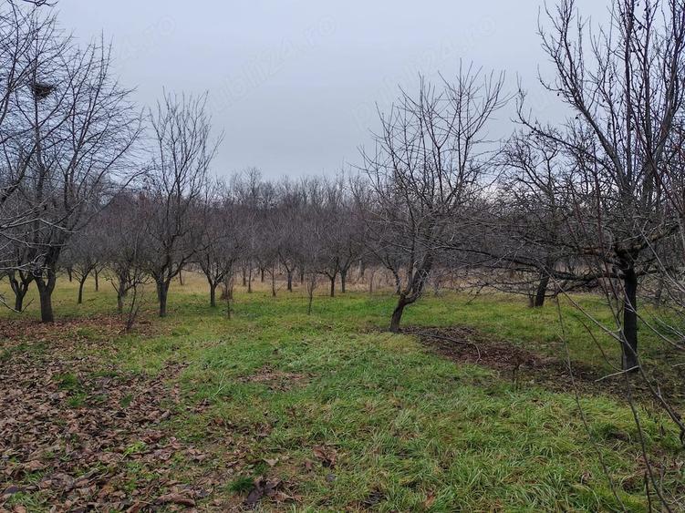 Casă cu 2 camere cu Teren 2600 Mp în Dărmănești