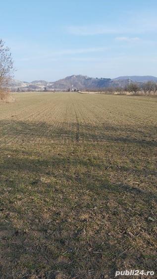 Teren de 7000 mp, în Gura Vitioarei
