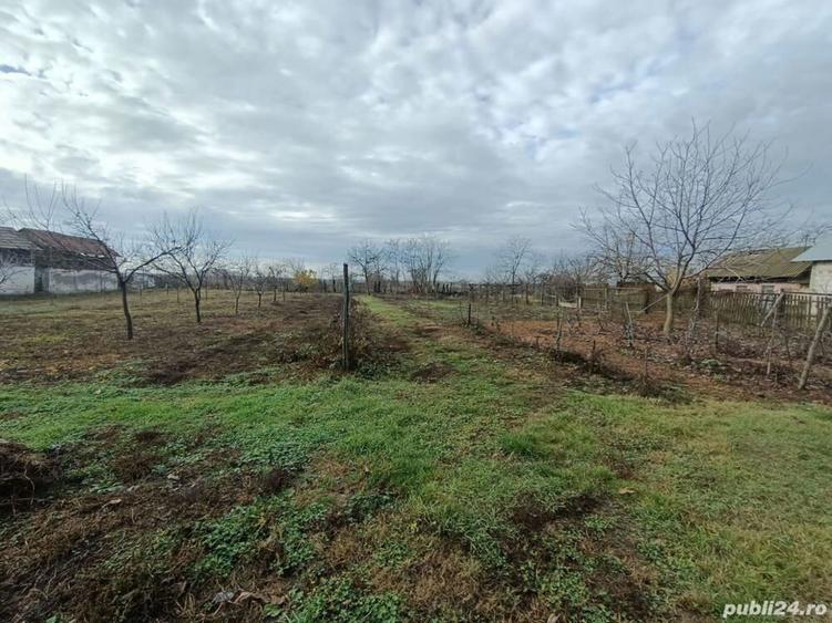 Teren în Ciupa-Mănciulescu