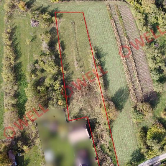 Teren agricol intravilan de 1300 mp, în Dalnic
