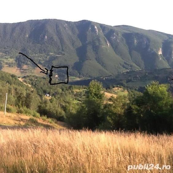 Teren de 2800 mp, în Vidra