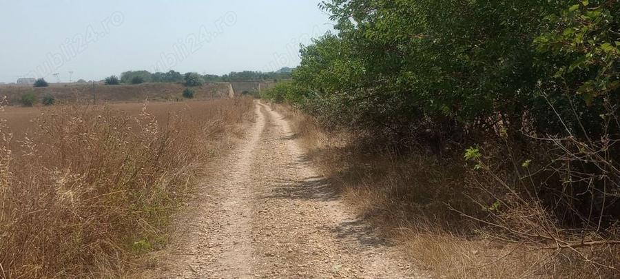 Teren de 8400 mp, în Sud
