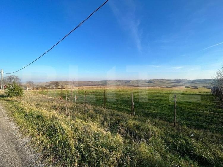 Teren Construcții intravilan de 13000 mp, în Lucăcești
