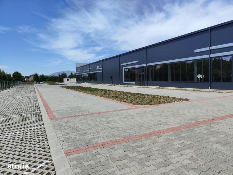 Spațiu comercial, de 600 mp, în Griviței