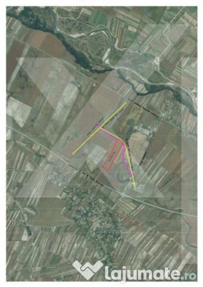 Teren de 105000 mp, în Căteasca