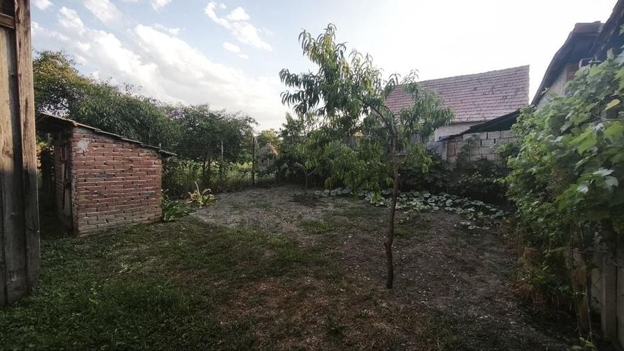 Casă cu 4 camere în Pianu