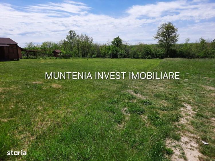 Spațiu comercial, în Albota