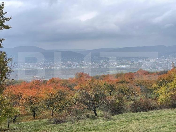 Teren Construcții intravilan de 3515 mp, în Centura