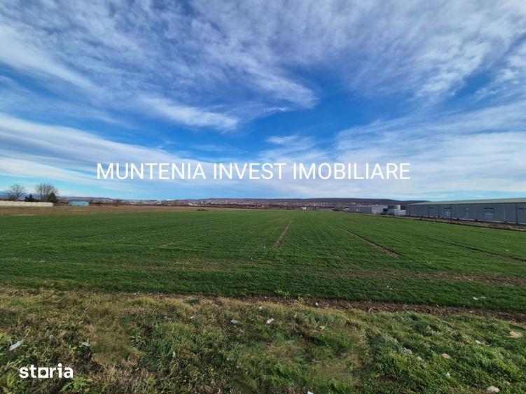 Teren intravilan 23504 mp. com.Maracineni,sat Argeselu. - 2