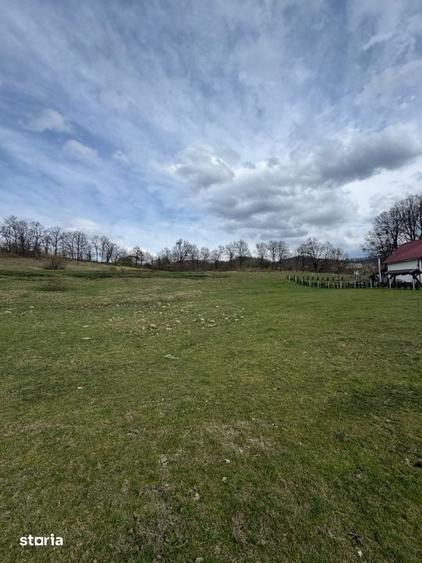 Teren intravilan 1.17ha cu panorama superba si PUZ aprobat Baia Sp - 6