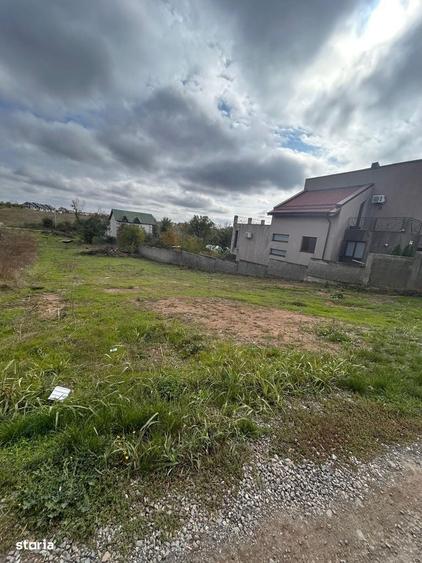 Spațiu comercial, în Pasărea