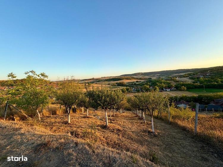 Casă cu 4 camere în Burzuc