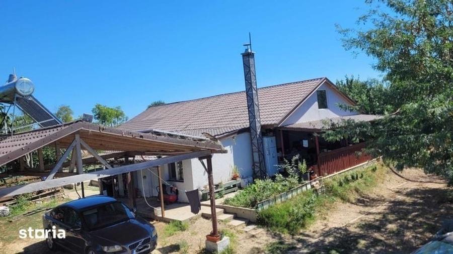 Teren de 6000 mp, în Mihail Kogălniceanu