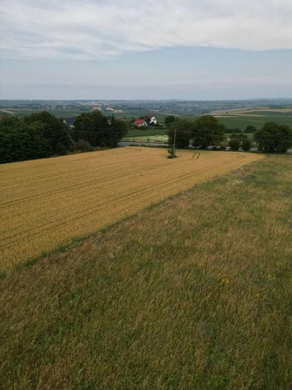 Spațiu comercial, în Moara