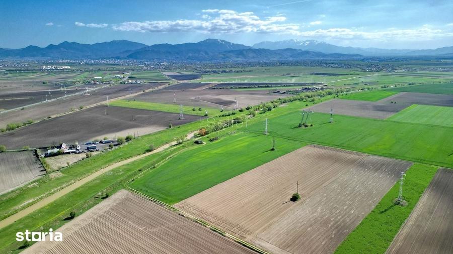 Teren de 126800 mp, în Stupini