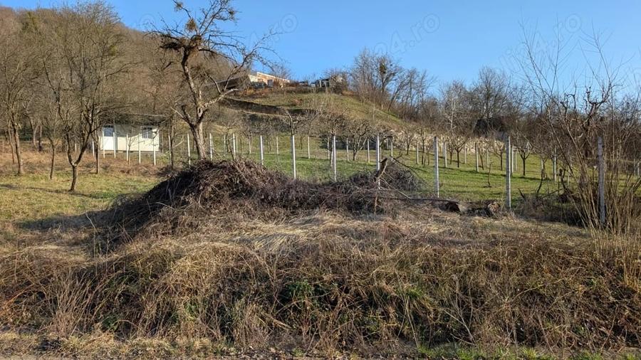 Teren de 2117 mp, în Central