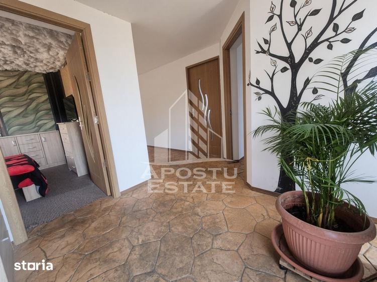 Casa individuala de vanzare, Beregsau Mare, Judet Timis - 12