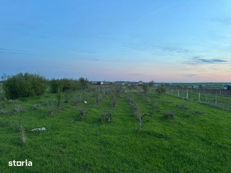 Teren de 5000 mp, în Central
