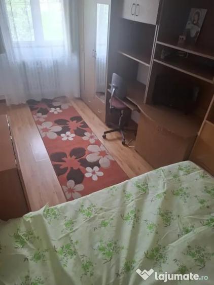 Apartament cu 2 camere semidecomandat în Valea Rosie