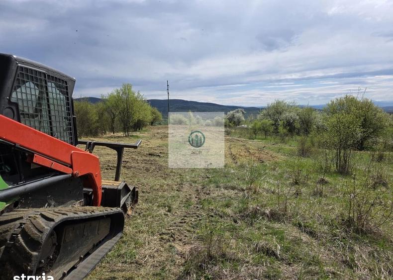 Teren agricol extravilan de 6704 mp, în Hărău