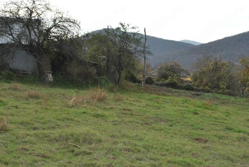 Teren de 2600 mp, în Telița