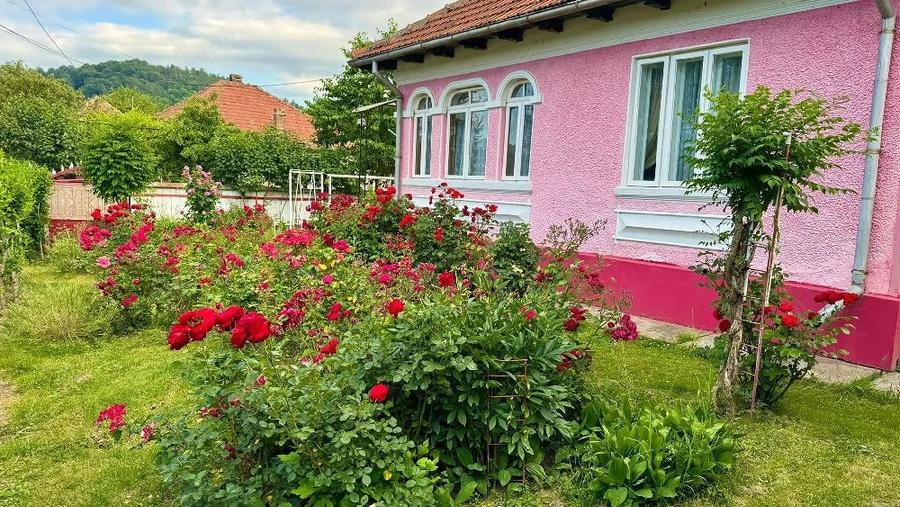 Casă cu Teren 1490 Mp în Coman
