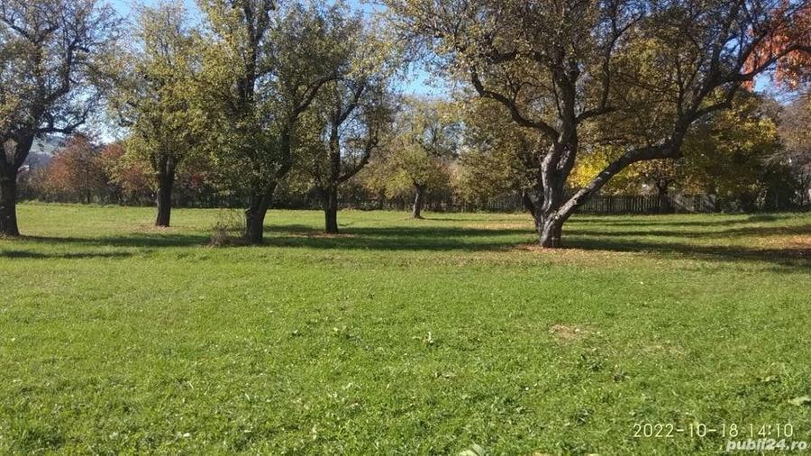 Teren de 9081 mp, în Crăcăoani