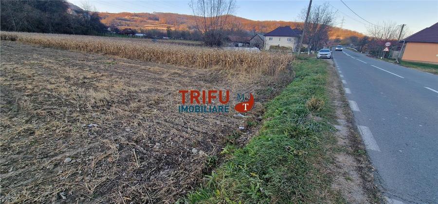 Teren Construcții intravilan de 1000 mp, în Ampoița