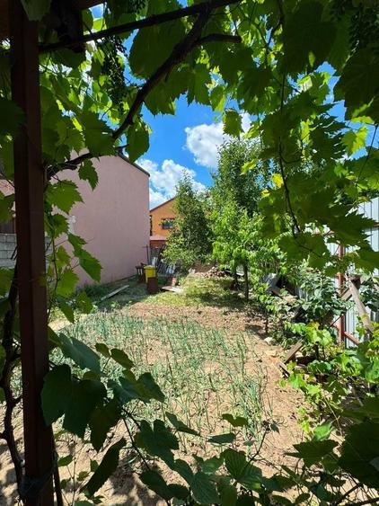 Casă cu 3 camere în Lacu Dulce