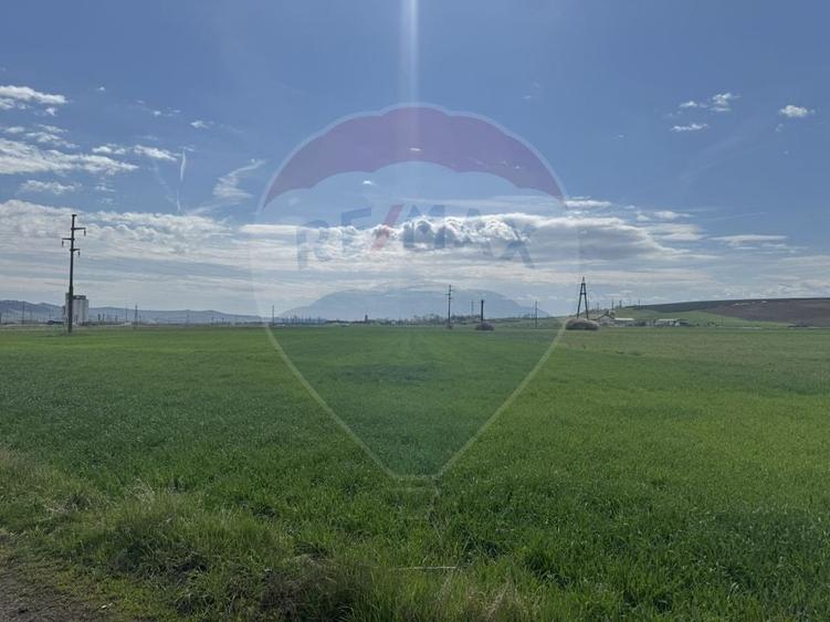 Teren Construcții extravilan de 8600 mp, în Luna de Jos