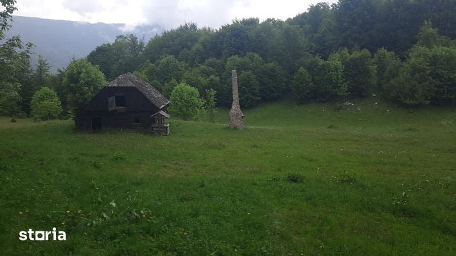 Teren frumos Dambovicioara Valea Urdii - 2
