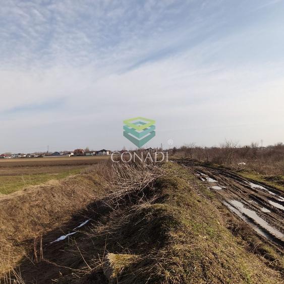 Teren Construcții intravilan de 535 mp, în Tărtășești