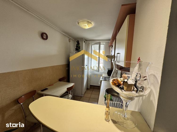Sagului-2 Camere-Mobilat/Utilat - 6