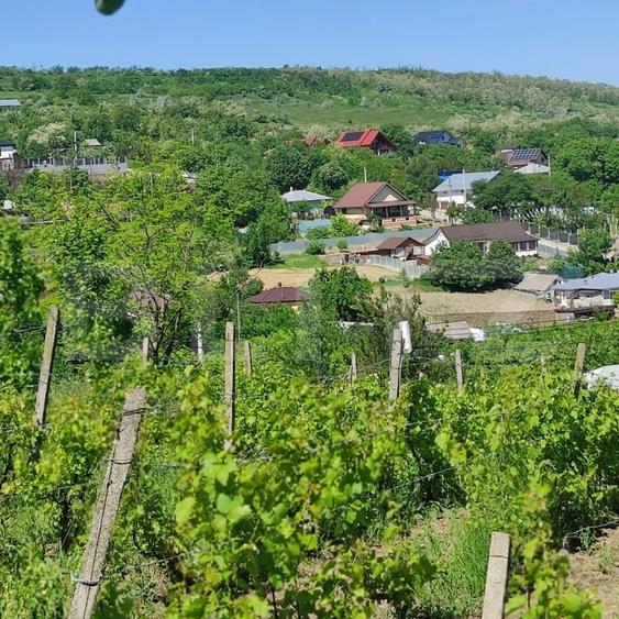 Casă individuală cu 2 camere cu Canalizare în Uricani