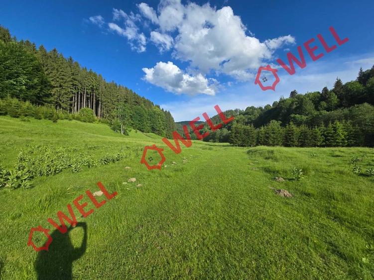 Teren agricol extravilan de 57000 mp, în Vama Buzăului
